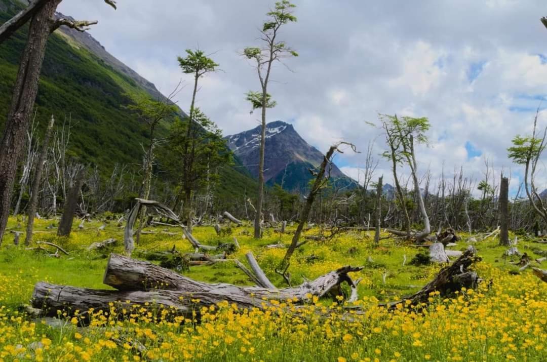 Cabanas Santa Montana Ushuaia Eksteriør bilde